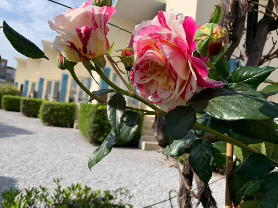 Hotel L'Etape Villeneuve-Loubet Bagian luar foto
